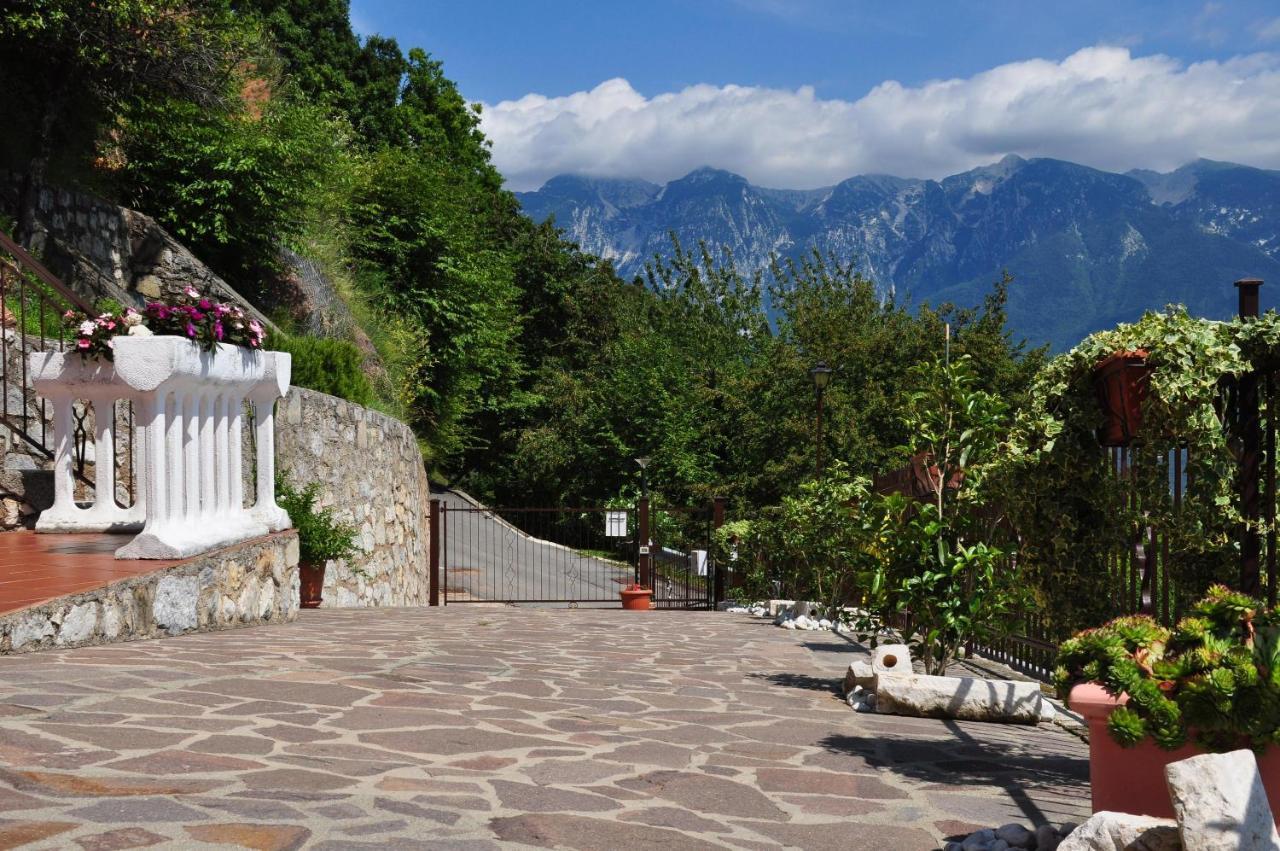 ティニャーレStella Del Garda 2 Con Terrazzaアパートメント エクステリア 写真
